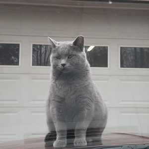 Meet your Posher, Dan